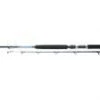 SEA SHAKESPEARE TIDEWATER BOAT 20lb & 30lb BOAT ROD