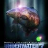 Korda Underwater DVD Part 7