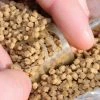 Guru Inline Pellet Feeder. CARP