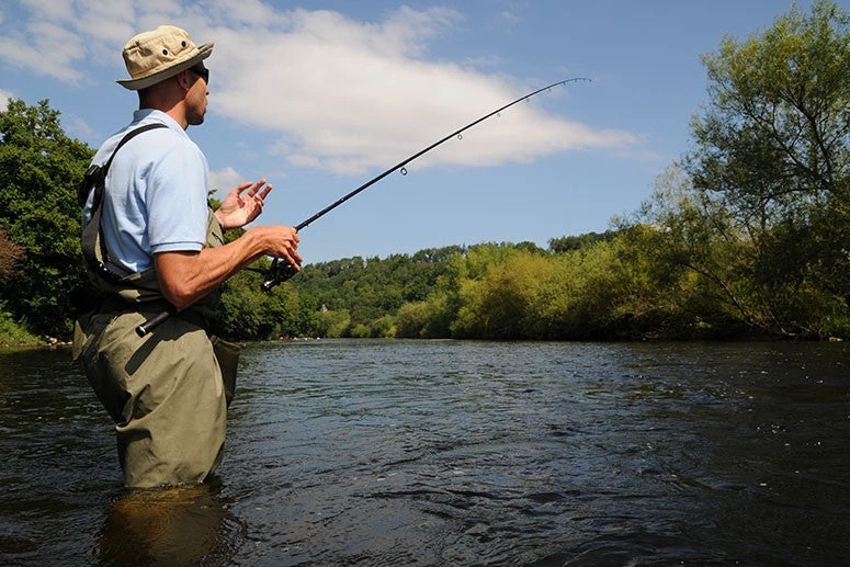 Guru Gripper Feeders 1 Guru Gripper Feeders